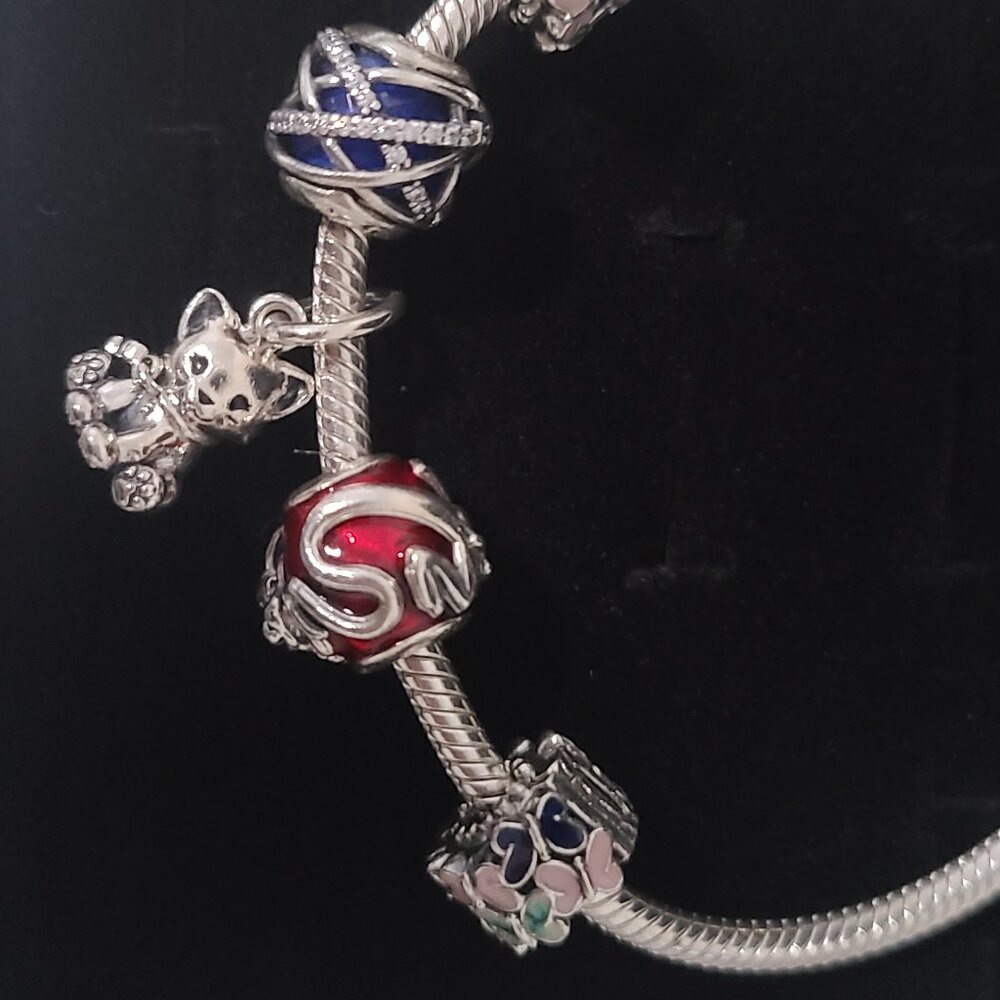 Pandora Bracelet with Charm
